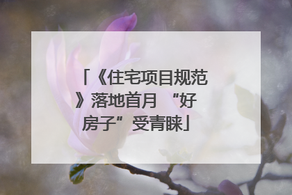 《住宅项目规范》落地首月 “好房子”受青睐
