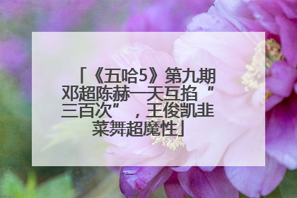 《五哈5》第九期邓超陈赫一天互掐“三百次”，王俊凯韭菜舞超魔性