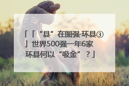 「“县”在图强·环县③」世界500强一年6家 环县何以“吸金”？