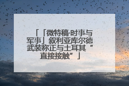 「微特稿·时事与军事」叙利亚库尔德武装称正与土耳其“直接接触”