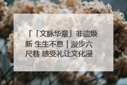 「文脉华章」非遗焕新 生生不息｜漫步六尺巷 感受礼让文化浸润的“巷”往生活