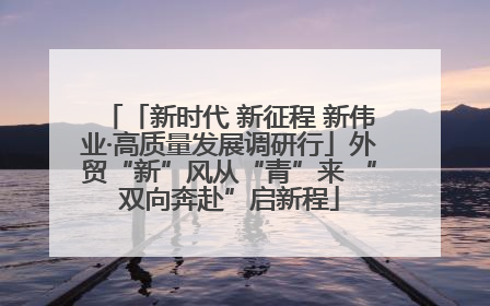 「新时代 新征程 新伟业·高质量发展调研行」外贸“新”风从“青”来 “双向奔赴”启新程