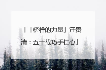 「榜样的力量」汪贵清：五十载巧手仁心