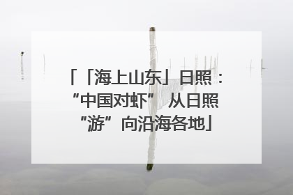 「海上山东」日照：“中国对虾” 从日照“游”向沿海各地