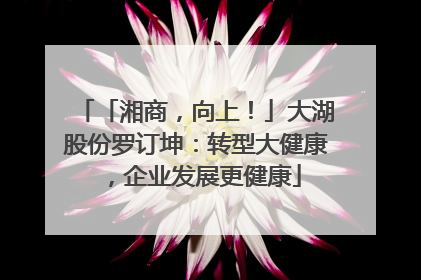 「湘商，向上！」大湖股份罗订坤：转型大健康，企业发展更健康