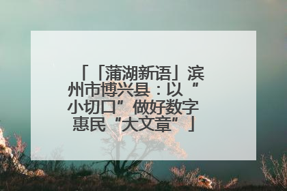 「蒲湖新语」滨州市博兴县：以“小切口”做好数字惠民“大文章”