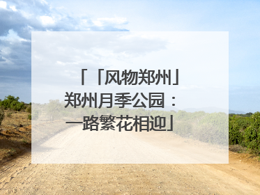 「风物郑州」郑州月季公园：一路繁花相迎