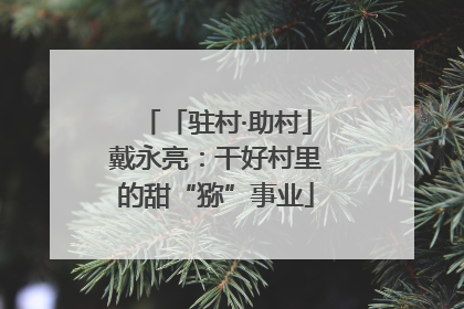 「驻村·助村」戴永亮：干好村里的甜“猕”事业