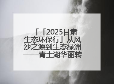 「2025甘肃生态环保行」从风沙之源到生态绿洲——青土湖华丽转身书写生态新篇