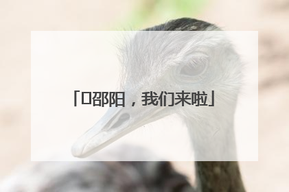 ⏰邵阳，我们来啦