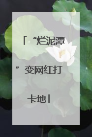 “烂泥潭”变网红打卡地