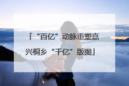 “百亿”动脉重塑嘉兴桐乡“千亿”版图
