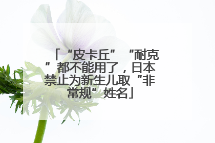 “皮卡丘”“耐克”都不能用了，日本禁止为新生儿取“非常规”姓名