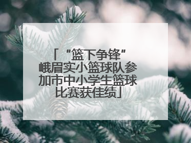 “篮下争锋” 峨眉实小篮球队参加市中小学生篮球比赛获佳绩