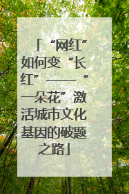 “网红”如何变“长红”——“一朵花”激活城市文化基因的破题之路