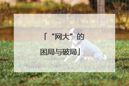 “网大”的困局与破局
