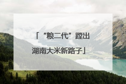 “粮二代”蹚出湖南大米新路子