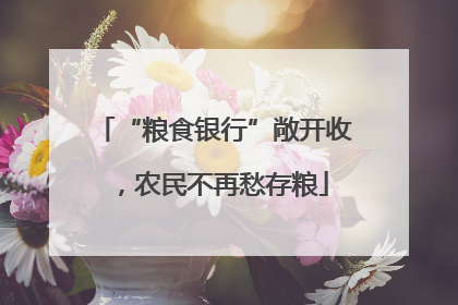 “粮食银行”敞开收，农民不再愁存粮