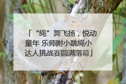 “绳”舞飞扬，悦动童年 乐师附小跳绳小达人挑战赛圆满落幕