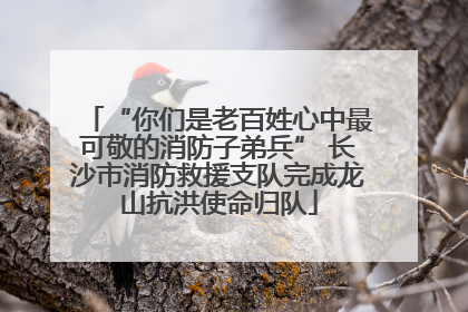 “你们是老百姓心中最可敬的消防子弟兵” 长沙市消防救援支队完成龙山抗洪使命归队