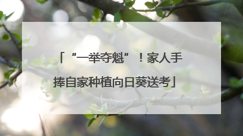 “一举夺魁”！家人手捧自家种植向日葵送考