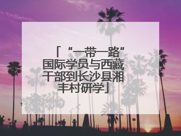 “一带一路”国际学员与西藏干部到长沙县湘丰村研学