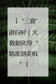 “三夏”进行时｜大数据化身“精准割麦机”