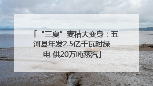 “三夏”麦秸大变身：五河县年发2.5亿千瓦时绿电 供20万吨蒸汽