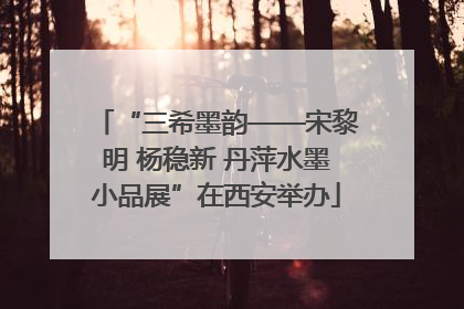 “三希墨韵——宋黎明 杨稳新 丹萍水墨小品展”在西安举办