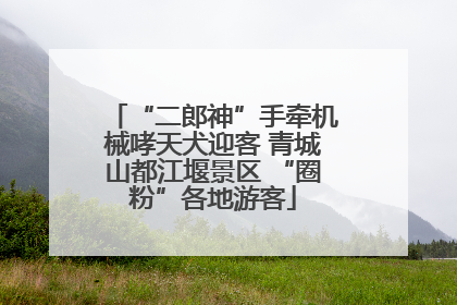 “二郎神”手牵机械哮天犬迎客 青城山都江堰景区 “圈粉”各地游客