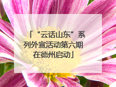 “云话山东”系列外宣活动第六期在德州启动