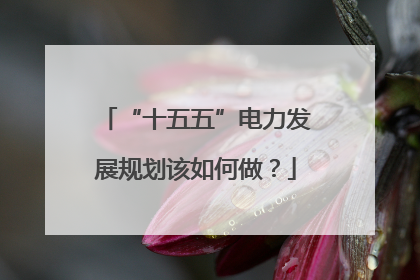 “十五五”电力发展规划该如何做？