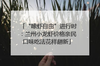 “嗦虾自由”进行时：兰州小龙虾价格亲民口味吃法花样翻新
