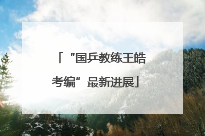 “国乒教练王皓考编”最新进展