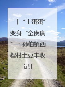 “土蛋蛋”变身“金疙瘩”：孙伯镇西程村土豆丰收记
