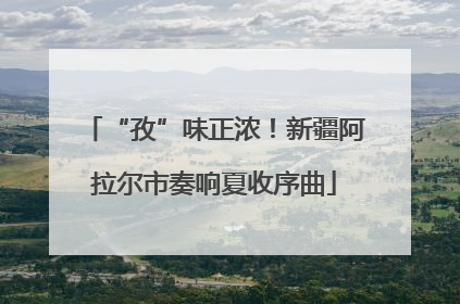 “孜”味正浓！新疆阿拉尔市奏响夏收序曲