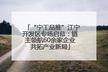 “宁工品推”江宁开发区专场启幕：链主领航60余家企业共拓产业新局