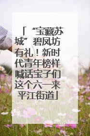 “宝藏苏城”碧凤坊有礼！新时代青年榜样喊话宝子们这个六一来平江街道