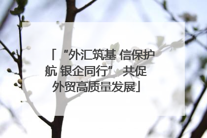 “外汇筑基 信保护航 银企同行” 共促外贸高质量发展