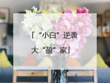 “小白”逆袭大“盈”家