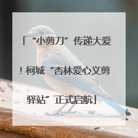 “小剪刀”传递大爱！柯城“杏林爱心义剪驿站”正式启航