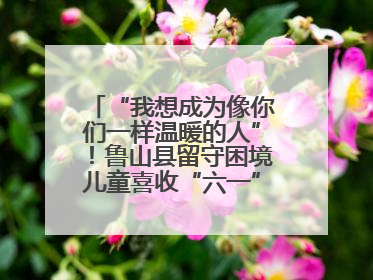 “我想成为像你们一样温暖的人”！鲁山县留守困境儿童喜收“六一”暖心礼