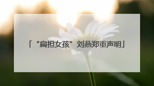 “扁担女孩”刘燕郑重声明