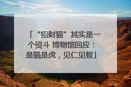 “招财猫”其实是一个熨斗 博物馆回应：是猫是虎，见仁见智