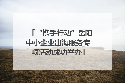 “携手行动”岳阳中小企业出海服务专项活动成功举办