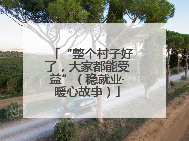 “整个村子好了，大家都能受益”（稳就业·暖心故事）