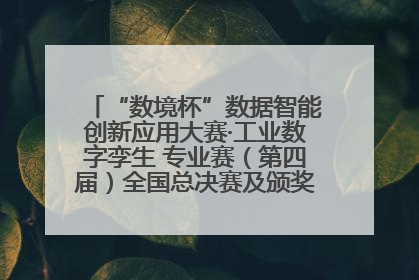 “数境杯”数据智能创新应用大赛·工业数字孪生 专业赛（第四届）全国总决赛及颁奖典礼成功举办