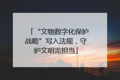 “文物数字化保护战略”写入法规，守护文明需担当
