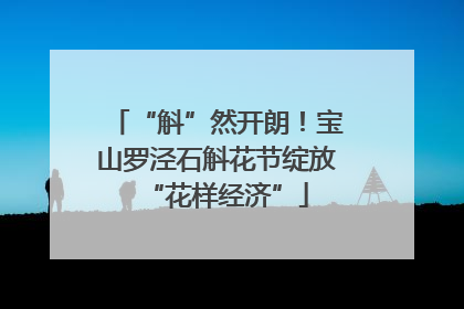 “斛”然开朗！宝山罗泾石斛花节绽放“花样经济”