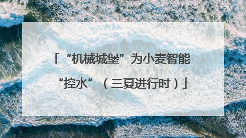 “机械城堡”为小麦智能“控水”（三夏进行时）